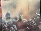 Steely Dan Katy Lied Vinyl Lp MCA 37043 Donald Fagen Clean 1975