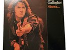 Rory Gallagher Sinner...And Saint Vintage 1975 Vinyl LP Record Polydor PD6510