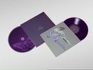 Olivia Rodrigo - GUTS: the secret tracks 12