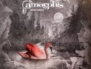 Amorphis - Silent Waters - 2018 Nuclear Blast - Black 2xLP Vinyl