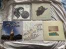 Screaming Females Ugly Sunset Rubdown Vinyl Vietnam Band Bound Stems The Sweep