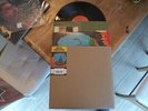 KING GIZZARD AND THE LIZARD WIZARD / FISHING FOR FISHIES (2019) LP complet