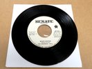 Orig The Basement Wall Promo 45 Never Existed / Taste Of A Kiss Garage 45 VG