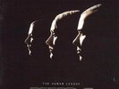 Octopus (Vinyl) - The Human League Vinyl