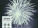 Gatherers Quiet World (Vinyl)