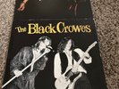 THE BLACK CROWES HOMECOMING CONCERT ATLANTA 1990 + SHAKE YOUR MONEYMAKER LP LOT