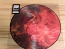 MORBID ANGEL - BLESSED ARE THE SICK PICTURE LP