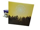 The Decemberists  The King Is Dead  vinyl