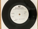 The Front Bottoms Summer of Steroids Test Pressing Vinyl 7” The Beers
