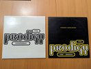 The Prodigy - Experience(Album) und The Prodigy- Fire, Jericho(Single) Vinyl