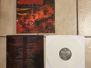 Decapitated winds of creation White Vinyl 2010'