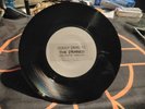 Damned Dodgy Demo Love Song/Burglar