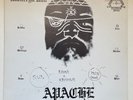SATYA SAI MAITREYA KALI LP Apache AKASHIC 2777 psych folk rock second press NICE