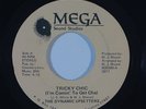 70s Soul/Funk 45 DYNAMIC UPSETTERS Tricky Chic/Love Changes on Mega VG+