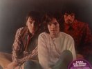 Traffic – Heaven Is In Your Mind  NM Vinyl LP43