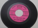MISS CATHY BRASHER ALL I NEED TO KNOW BABE 1966 CHATTAHOOCHEE CH713 45RPM BEAUTY