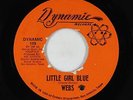 Northern Soul 45 - Webs - Little Girl Blue/Don't Ever Hurt Me - Dynamic - VG++