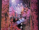 Grow Fins, Vol. 2: Trout Mask House Sessions by Captain Beefheart & the Magic...