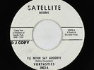 Northern Soul 45 - Vontastics - I'll Never Say Goodbye - Satellite - VG+