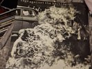 Rage Against the Machine XX [20th Anniversary Edition] by Rage Against the...
