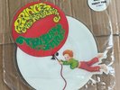 Prince & the Revolution- Paisley Park 45 *RARE PICTURE DISC *