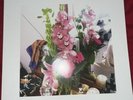 Secret Boy by Wicca Phase Springs Eternal (Record, 2018)