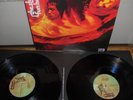 The Stooges 