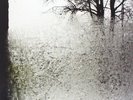 Bon Iver For Emma, Forever Ago Records & LPs New