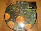Lana Del Rey Violet Bent Backwards Over the Grass Vinyl Picture Disc LP