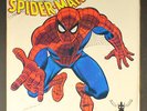 WEB SPINNERS: theme from spider-man / mono BUDDAH 7