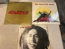 Bob Marley and the Wailers LP Lot