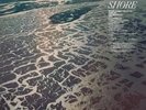 Shore - fleet foxes Vinyl LP - (New / Sealed)