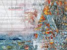 Explosions in the Sky The Wilderness Double Red & Clear Vinyl LP New Sealed
