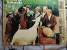 Beach Boys Pet Sounds 1st Pressing Mono LP 1966 Capitol T-2458 Rare