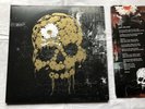 the dead daisies. Make Some Noise. Vinyl Red 2016