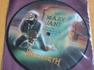 7 inch single - picture disc - Megadeth Mary Jane