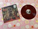 Slayer Reign in Blood Tour Live 1987 Heavy Metal Red Color Vinyl LP + Poster NM