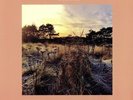 ANE BRUN - Leave Me Breathless - Vinyl (heavyweight clear vinyl LP)