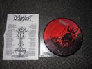 DESASTER LP 7