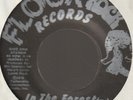 THE ORIGINAL BLACK SHEEP IN THE FOREST b/w LOVE SONG FLOCK ROCK UNPLAYED PRIVATE
