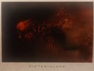 Cocteau Twins – Victorialand      EX  Vinyl LP45