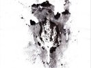 The Telescopes Hidden Fields (Vinyl) 12