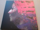 DOUBLE LP STEVE WILSON  