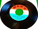 MAGIC TONES Together We Shall Overcome / Better To Love DETROIT NORTHERN SOUL 45
