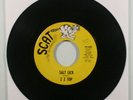 ZZ TOP Salt Lick / Miller's Farm ORIGINAL SCAT RECORDS 7-INCH/45-500/ Z Z