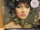 Brand New Kate Bush Live At Hammersmith Odeon 1979 Vinyl LP Limited Number 278