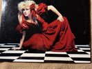 The Other Side Of The Mirror Stevie Nicks 12 Inch Vinyl LP Record  Very Good +