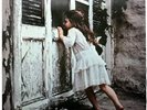Violent Femmes 