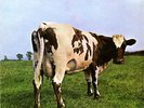 Pink Floyd Atom Heart Mother Vinyl Record NM or M-/NM or M-