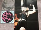 Madonna - Hanky Panky 12” Picture Disc With Live Poster